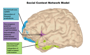 The social Context network model in Psychiatric