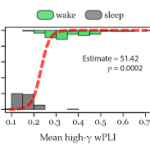 Intracranial highγ connectivity distinguishes wakefulness from sleep